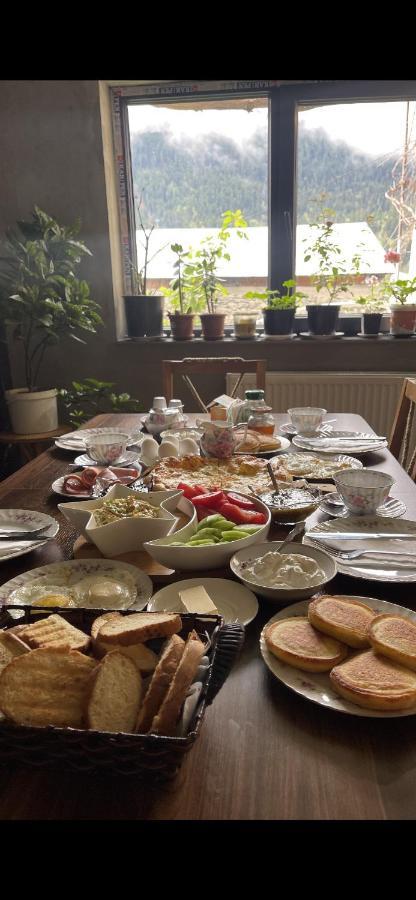 Guesthouse Chela Mestia Zewnętrze zdjęcie