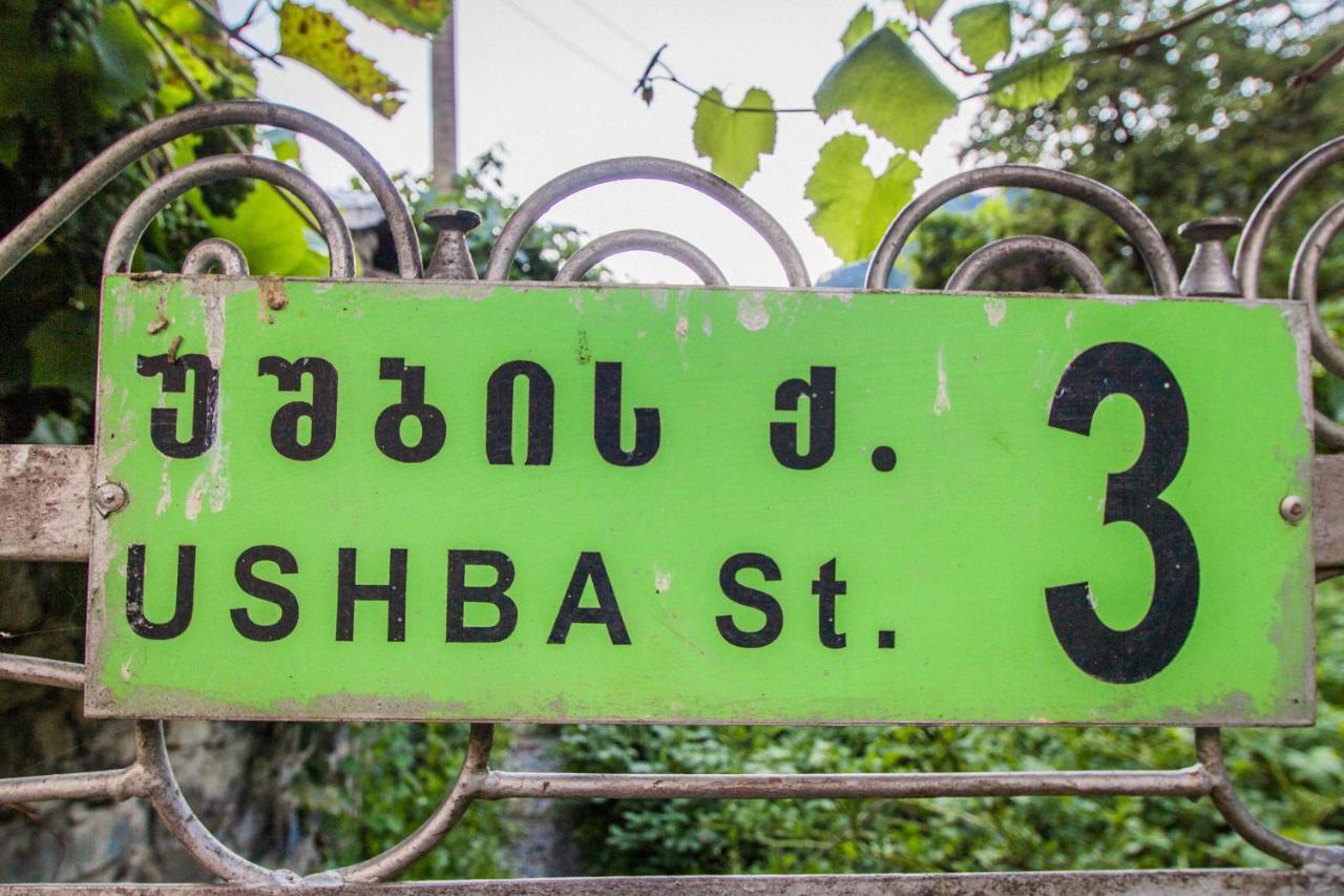 Guesthouse Chela Mestia Zewnętrze zdjęcie